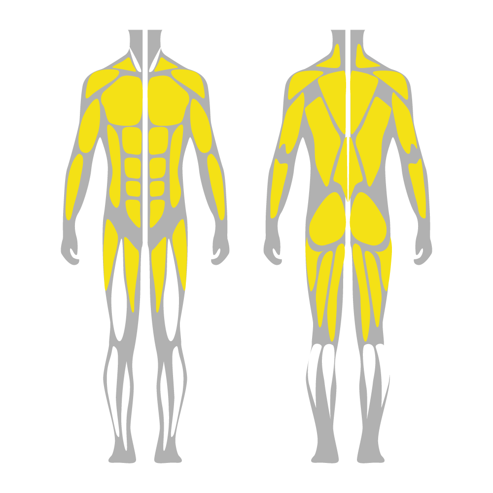 Element Dual Adjustable Cable Pulley Machine