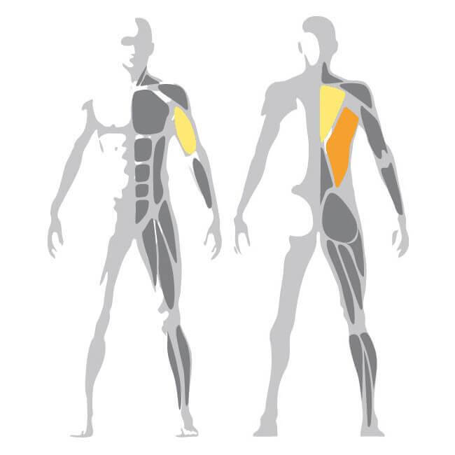 Pure Lat Pulldown Machine