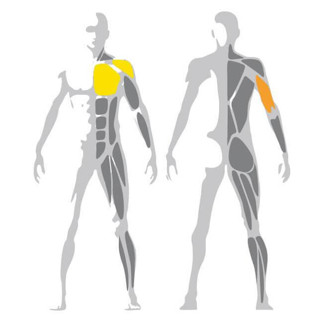 Olympic Incline Weight Bench Pure